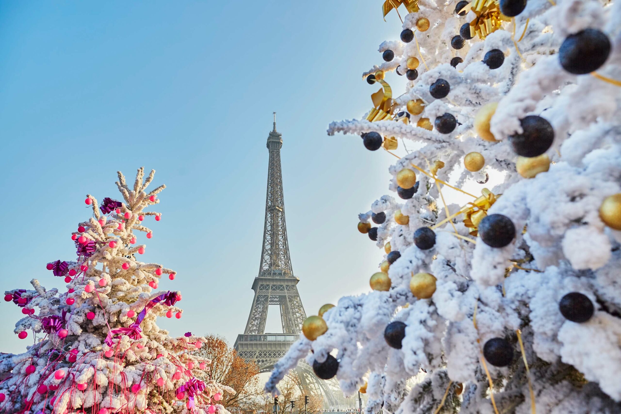 Eiffel tower and Christmas trees in Paris.