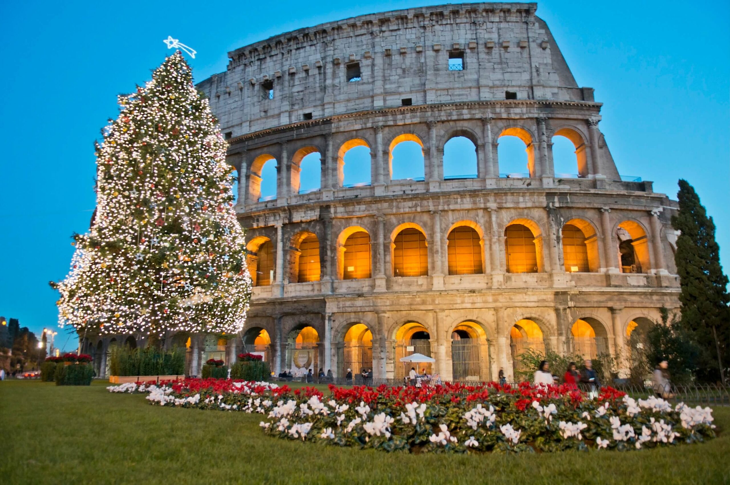 A Christmas tree stands in front of the colosseum.