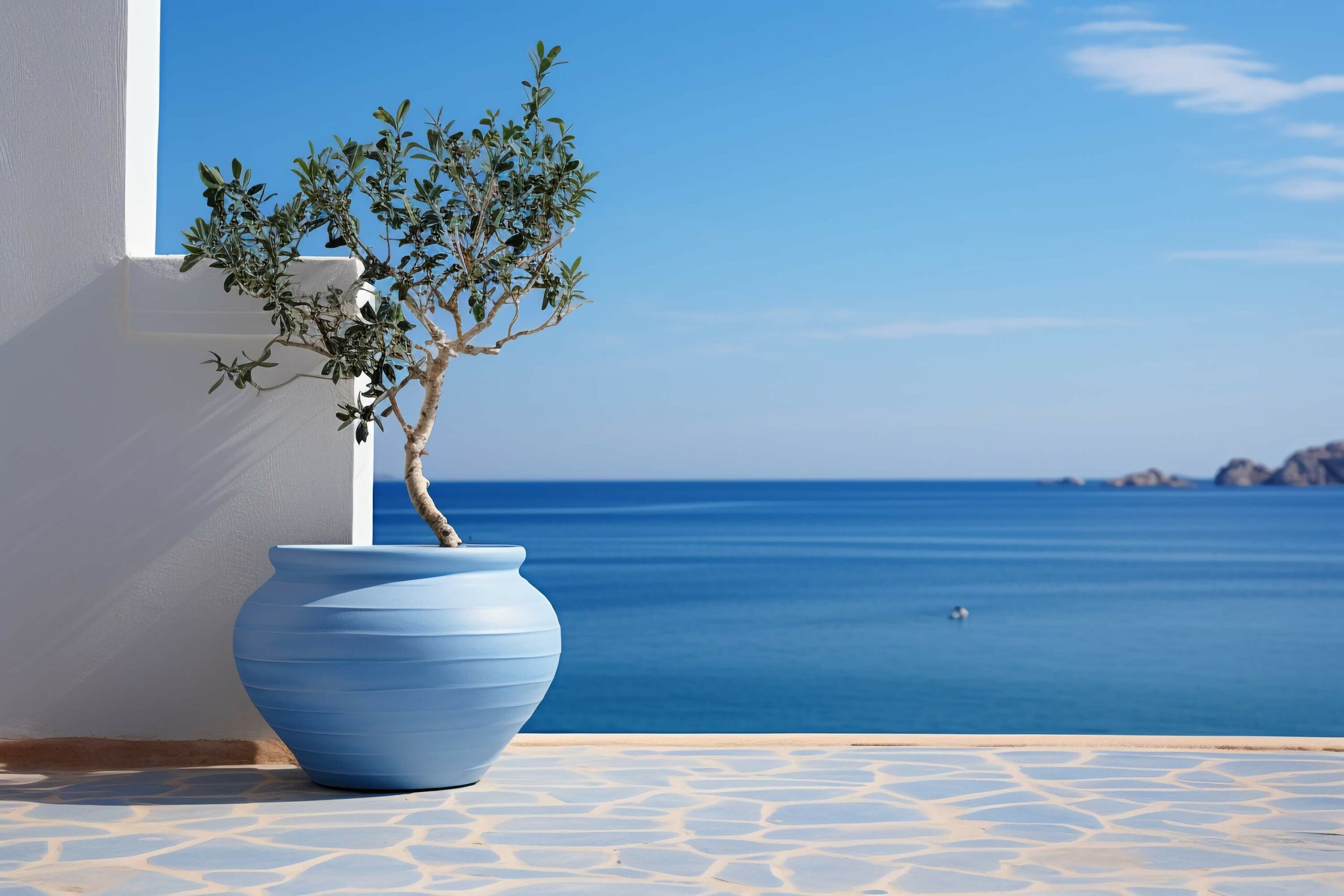 An olive tree in a blue pot on a balcony with a view of the ocean.