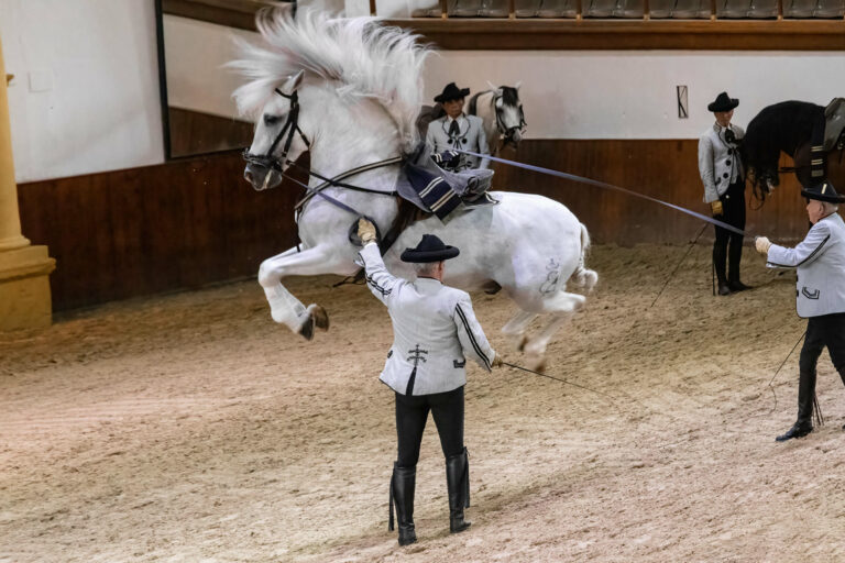 Andalusian Horses Dance Show in Jerez, Spain