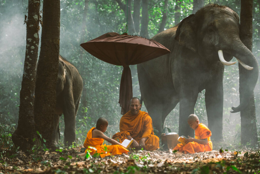 Picture of a group of Thai munks sitting on the gound inside the elephant sancturary in Phuket, Thailand.