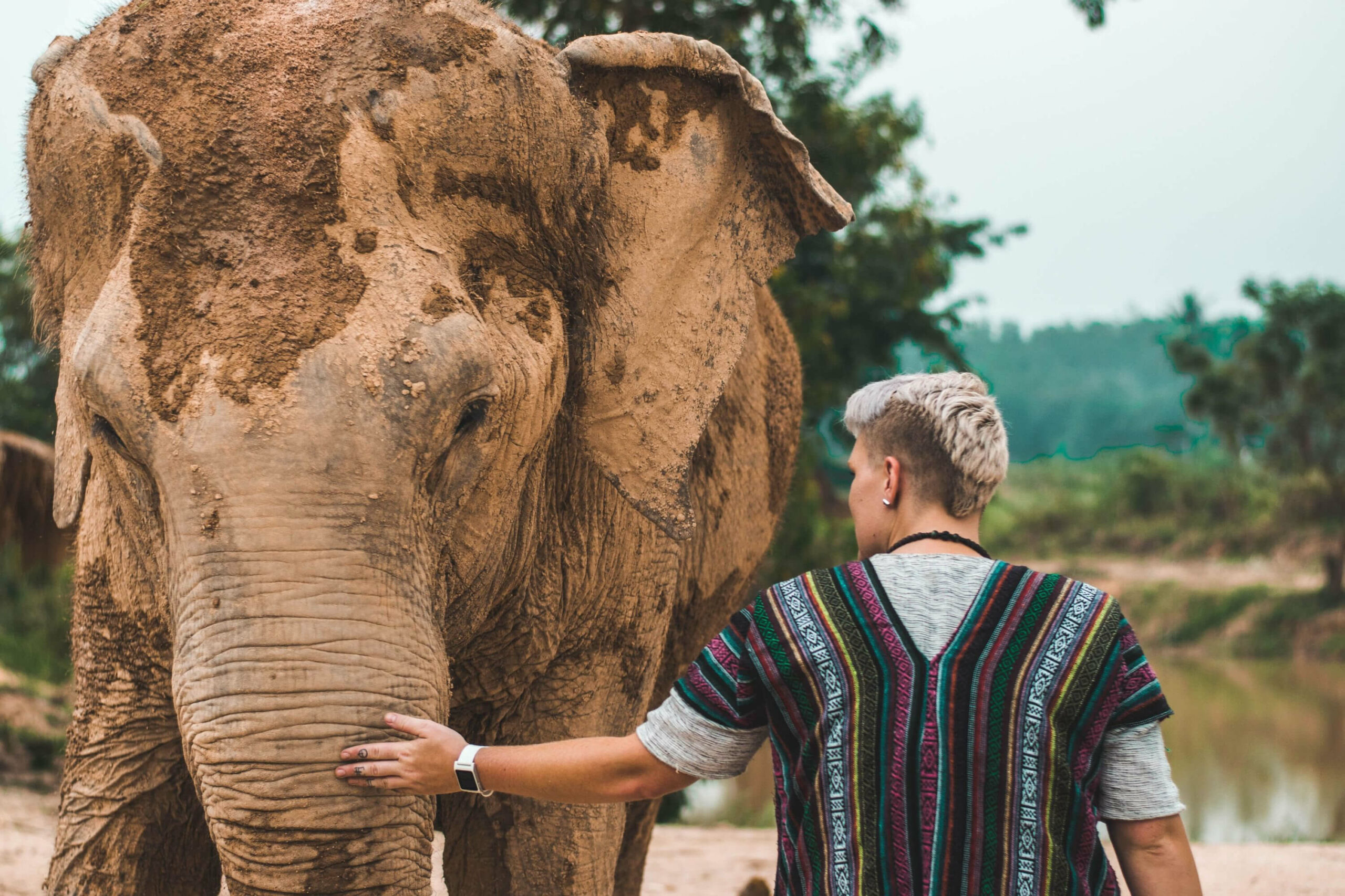 A man is peacefully petting an elephant during his holiday at the Phuket Elephant Sanctuary.