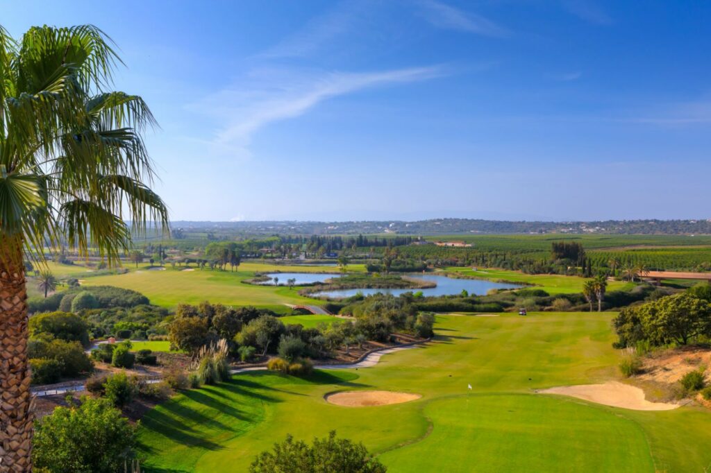 Golf course surrounded by lake, palm trees, green grass and blue skies. 