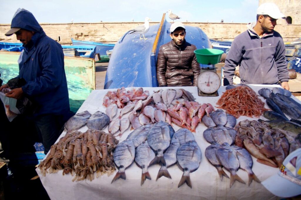 man selling fresh fish in an outdoor market in marrakesh