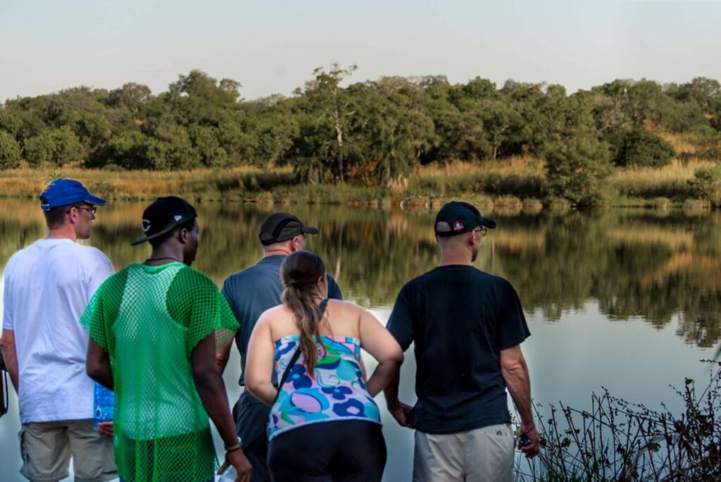 group of 5 people on a safari looking at a lake and its surrounding wildlife and vegetation
