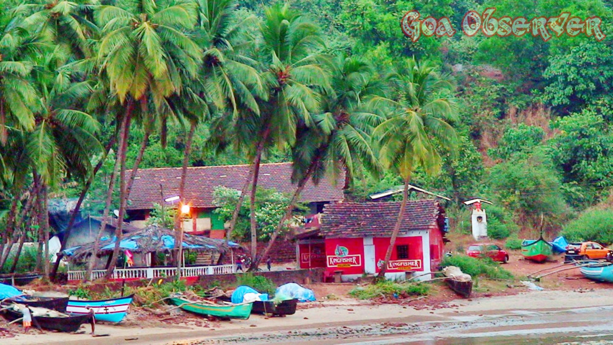 beach with a Schak, exotic vegetation, and boats