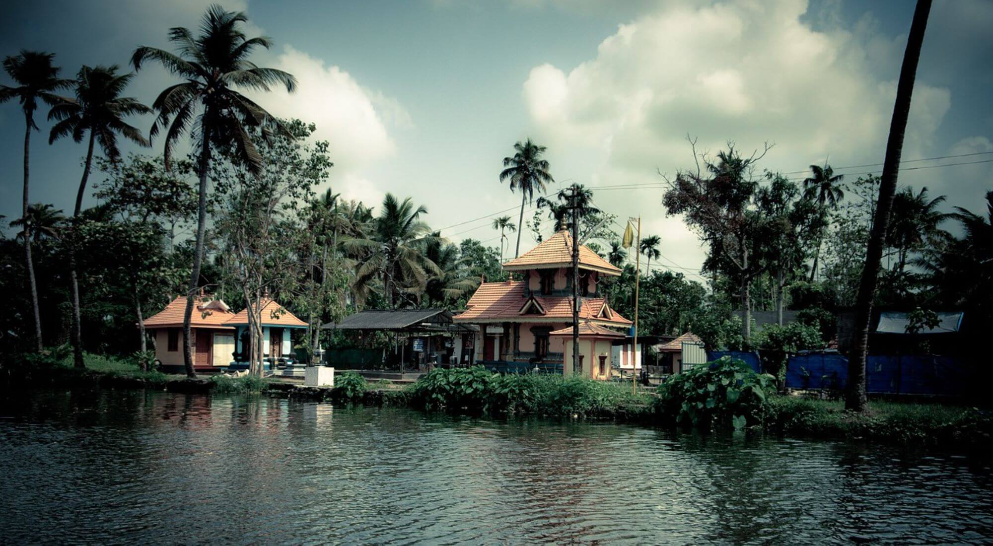 lake surrounded by lush vegetation, palm trees and houses by the lake in Kerala