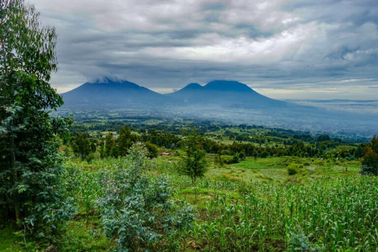Top Stays in Ruanda & Uganda: Explore Activities